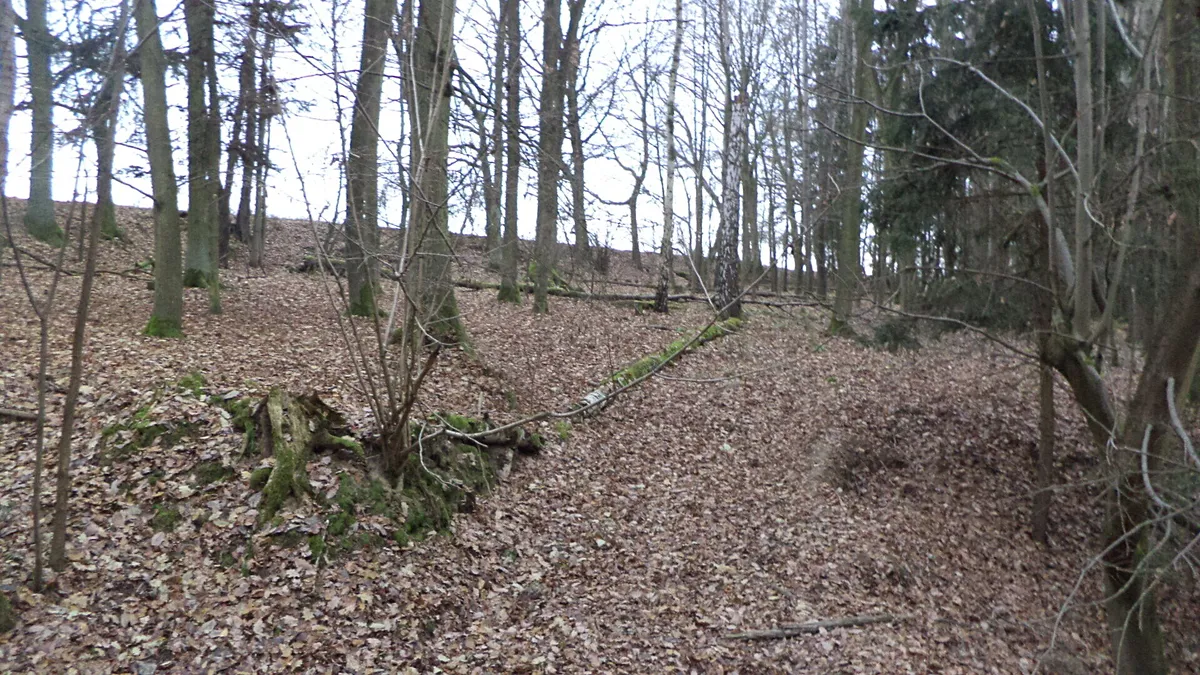 Prodej lesa 28299 m²